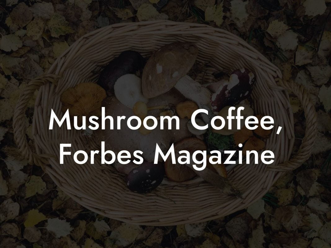 Mushroom Coffee, Forbes Magazine