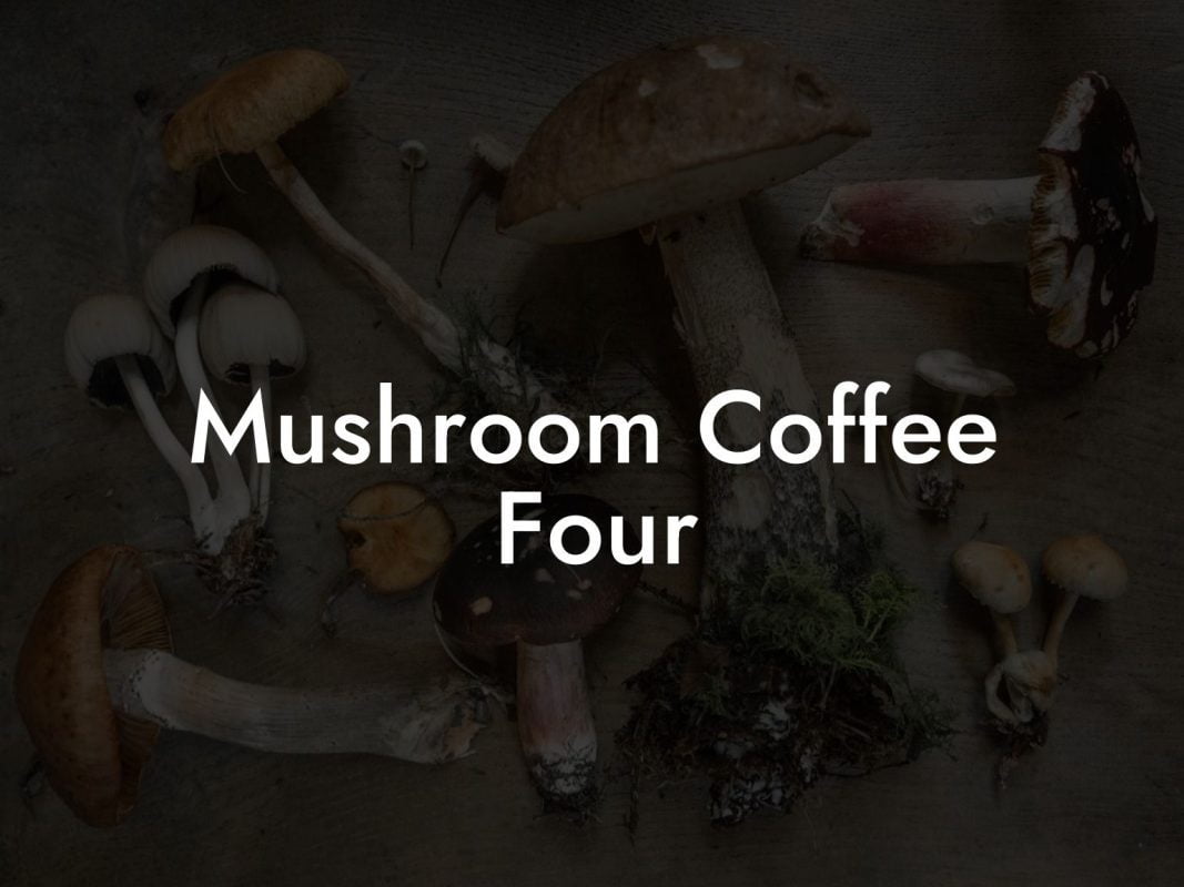 Mushroom Coffee Four
