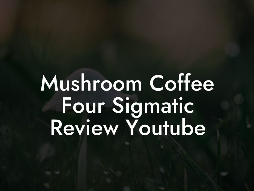 Mushroom Coffee Four Sigmatic Review Youtube