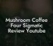 Mushroom Coffee Four Sigmatic Review Youtube