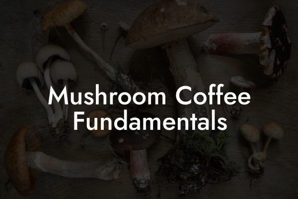Mushroom Coffee Fundamentals