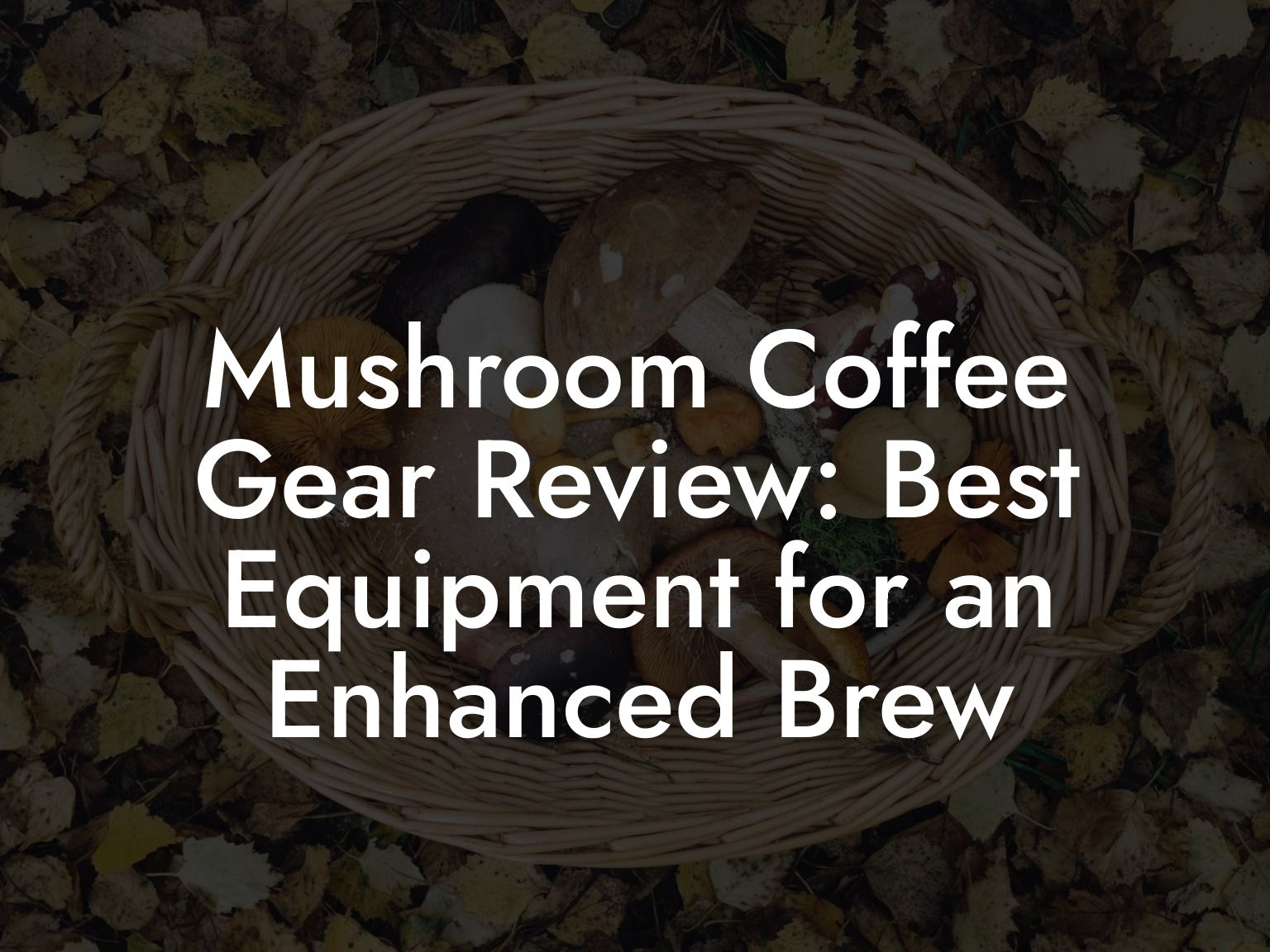 Mushroom Coffee Gear Review: Best Equipment for an Enhanced Brew