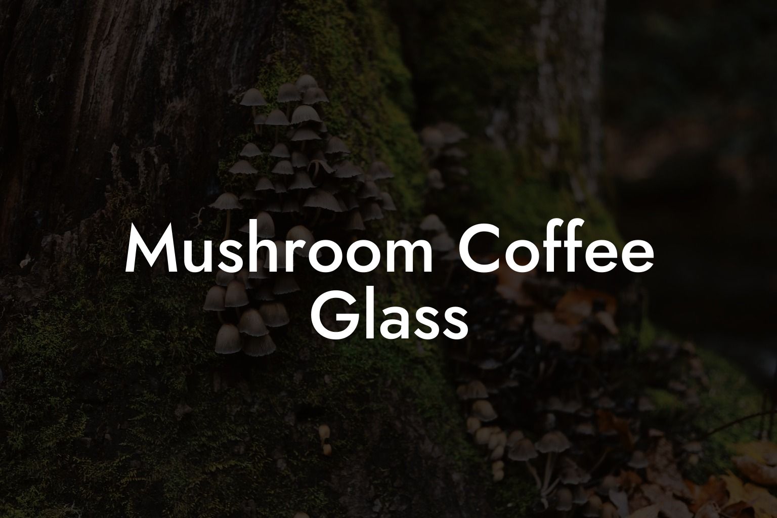 Mushroom Coffee Glass