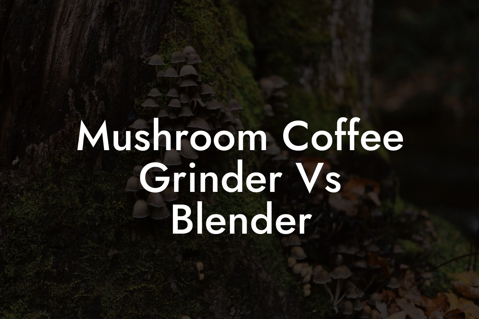 Mushroom Coffee Grinder Vs Blender