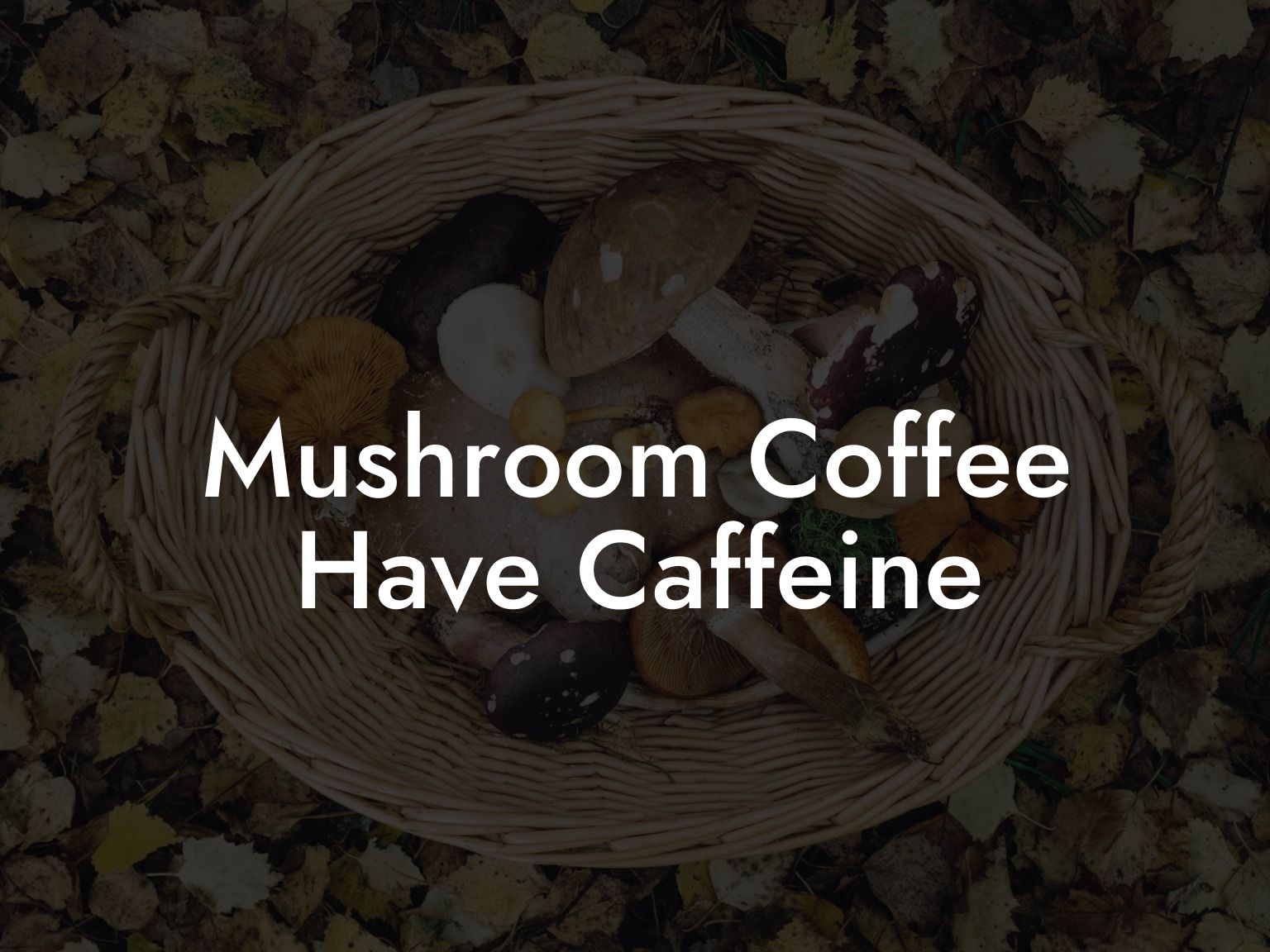 Mushroom Coffee Have Caffeine