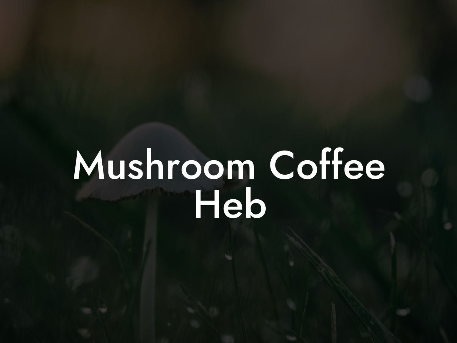 Mushroom Coffee Heb