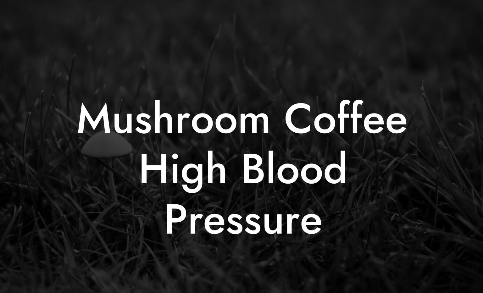 Mushroom Coffee High Blood Pressure