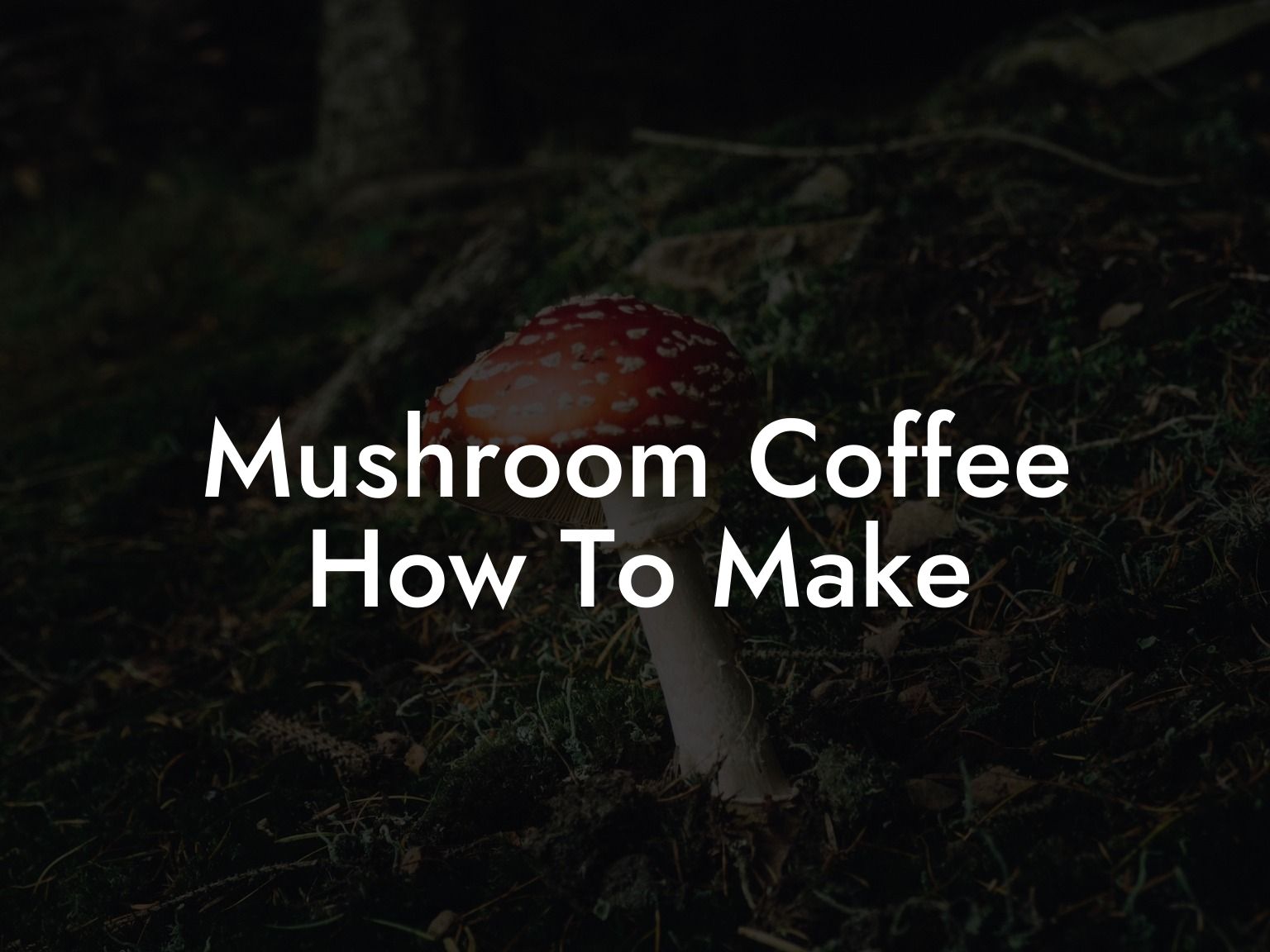 Mushroom Coffee How To Make