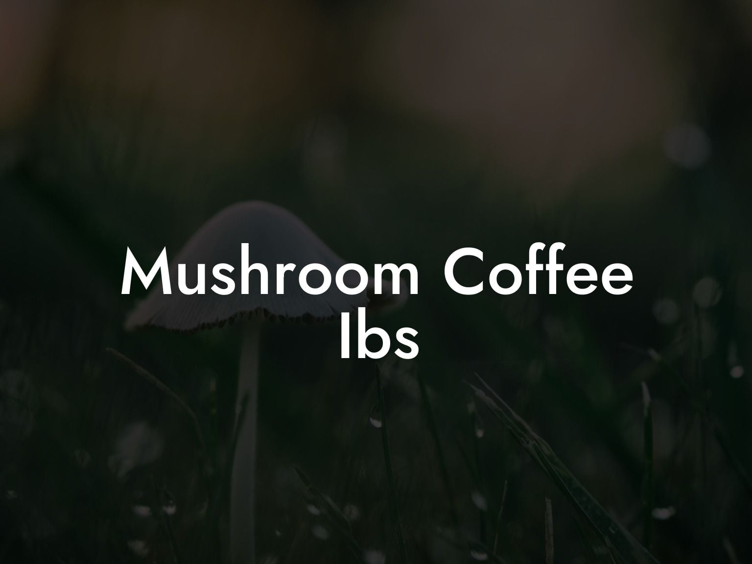 Mushroom Coffee Ibs