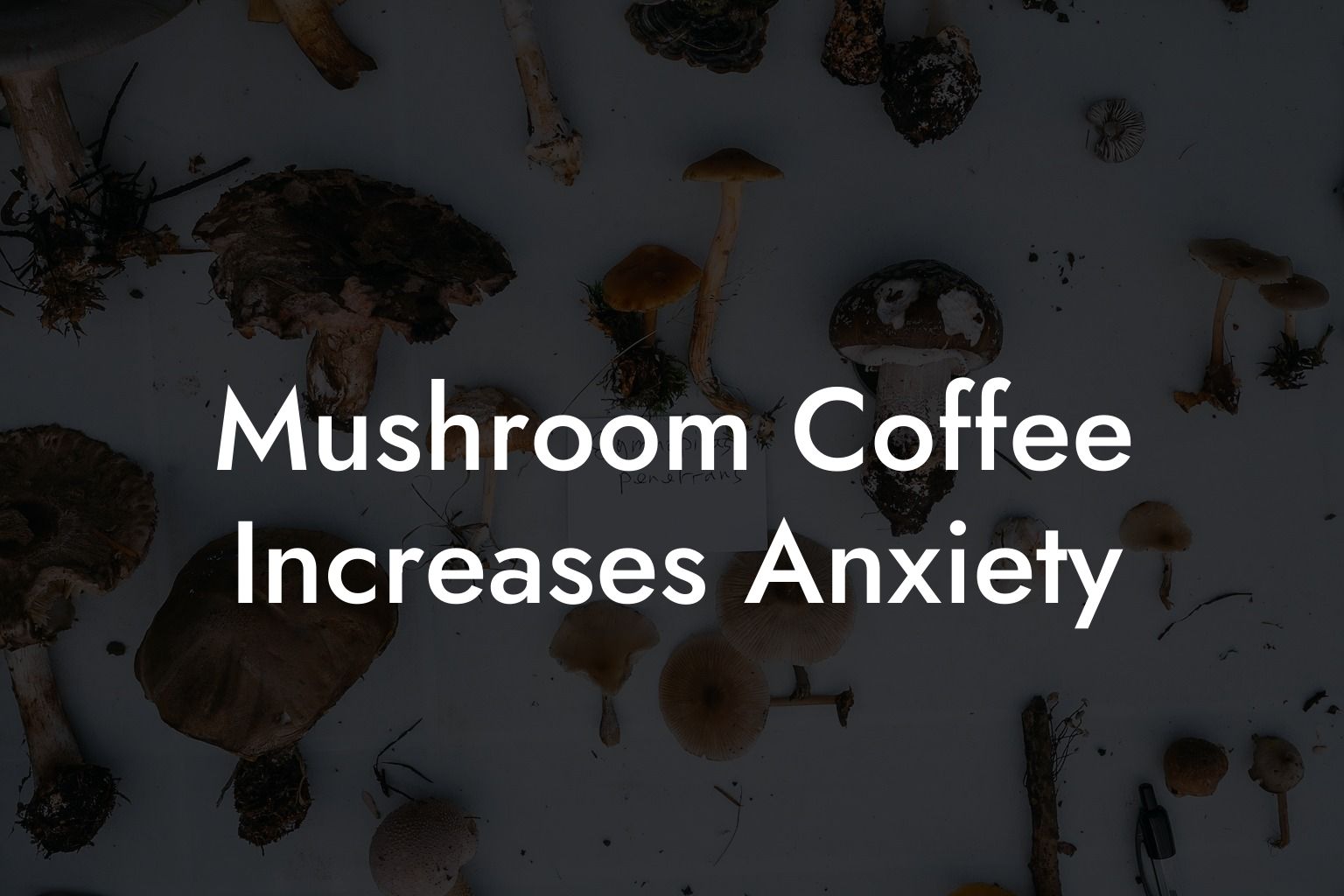 Mushroom Coffee Increases Anxiety