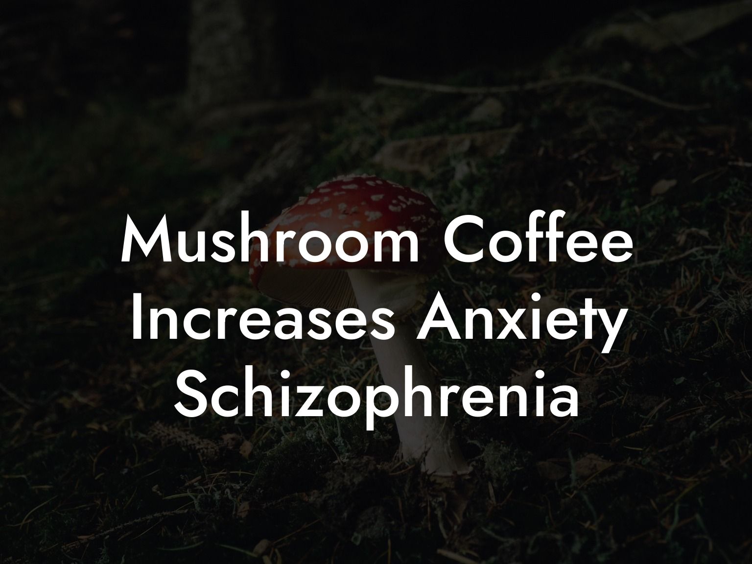 Mushroom Coffee Increases Anxiety Schizophrenia
