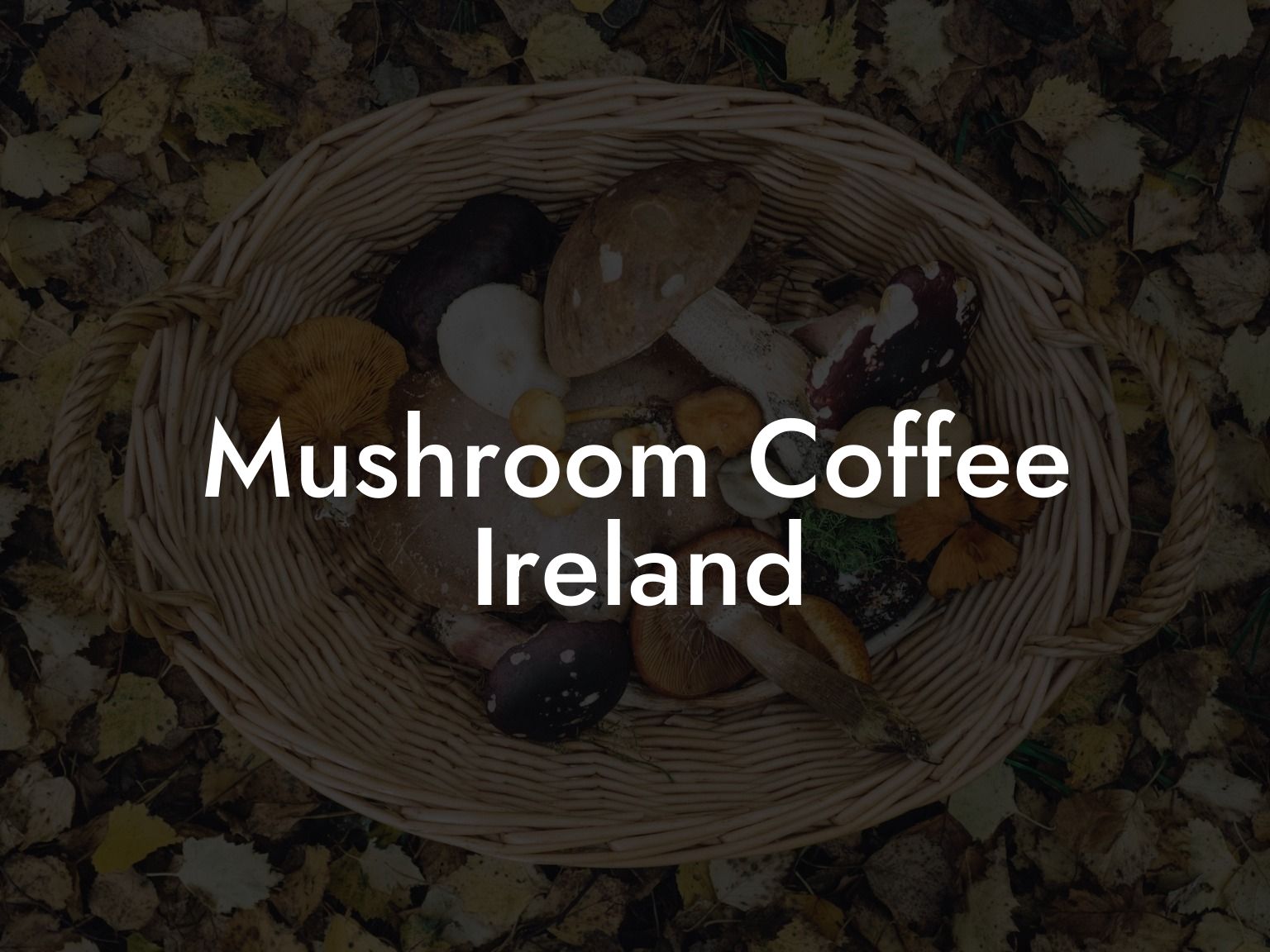 Mushroom Coffee Ireland