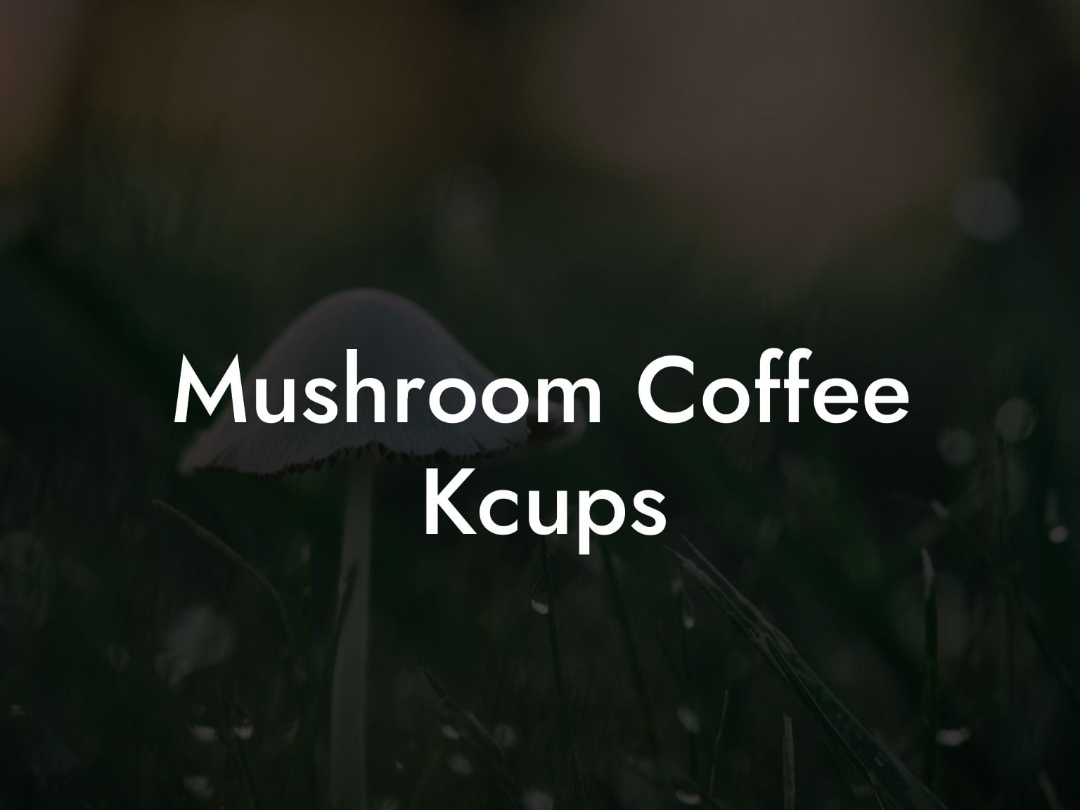 Mushroom Coffee Kcups