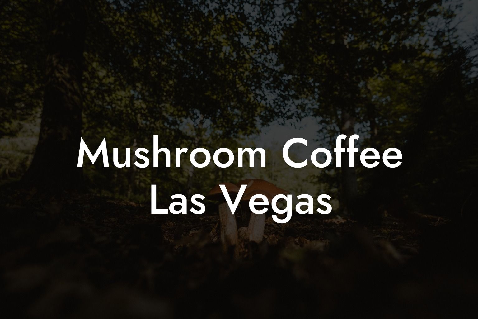 Mushroom Coffee Las Vegas