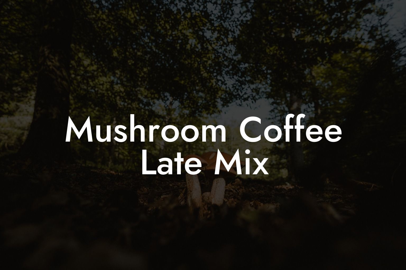 Mushroom Coffee Late Mix