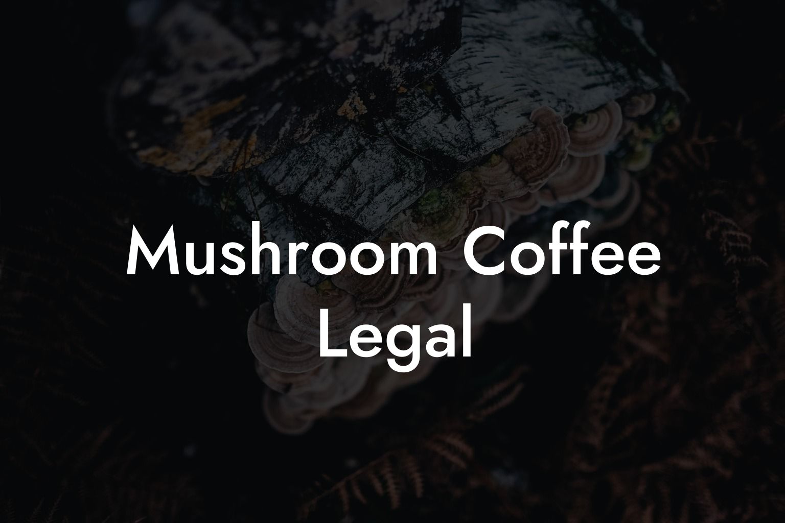 Mushroom Coffee Legal