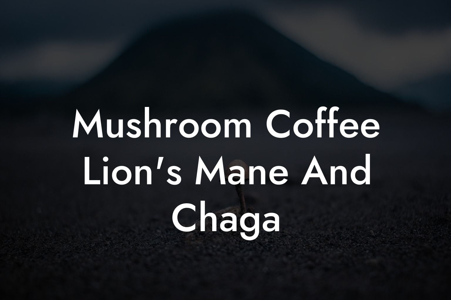 Mushroom Coffee Lion's Mane And Chaga