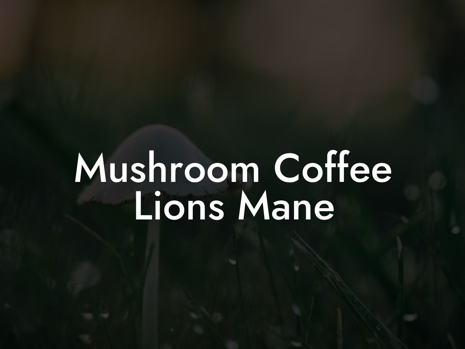 Mushroom Coffee Lions Mane