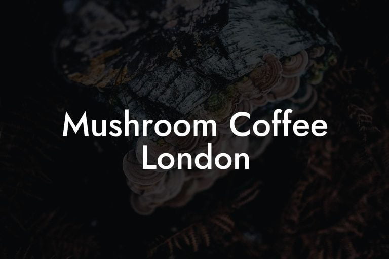 Mushroom Coffee London Mr Mushroom