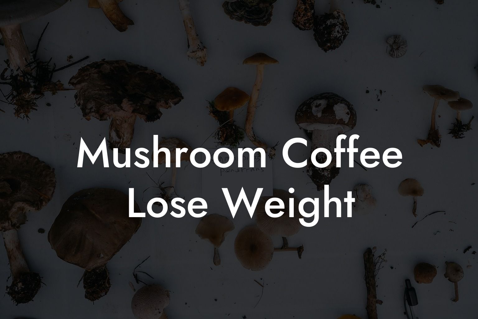 Mushroom Coffee Lose Weight