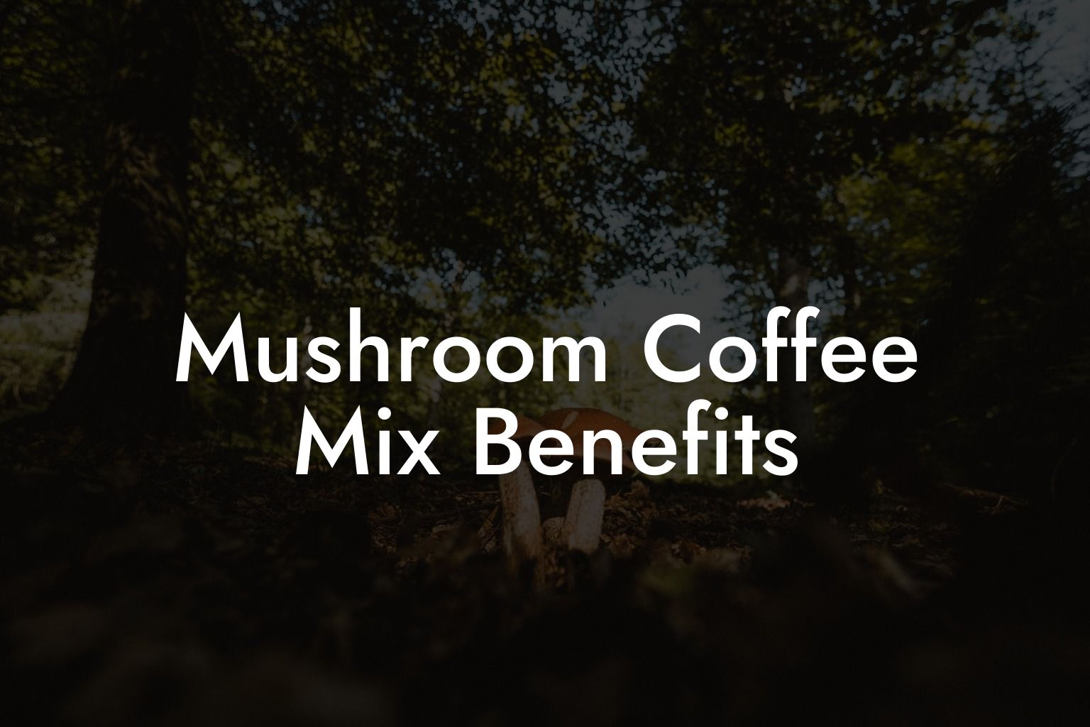 Mushroom Coffee Mix Benefits