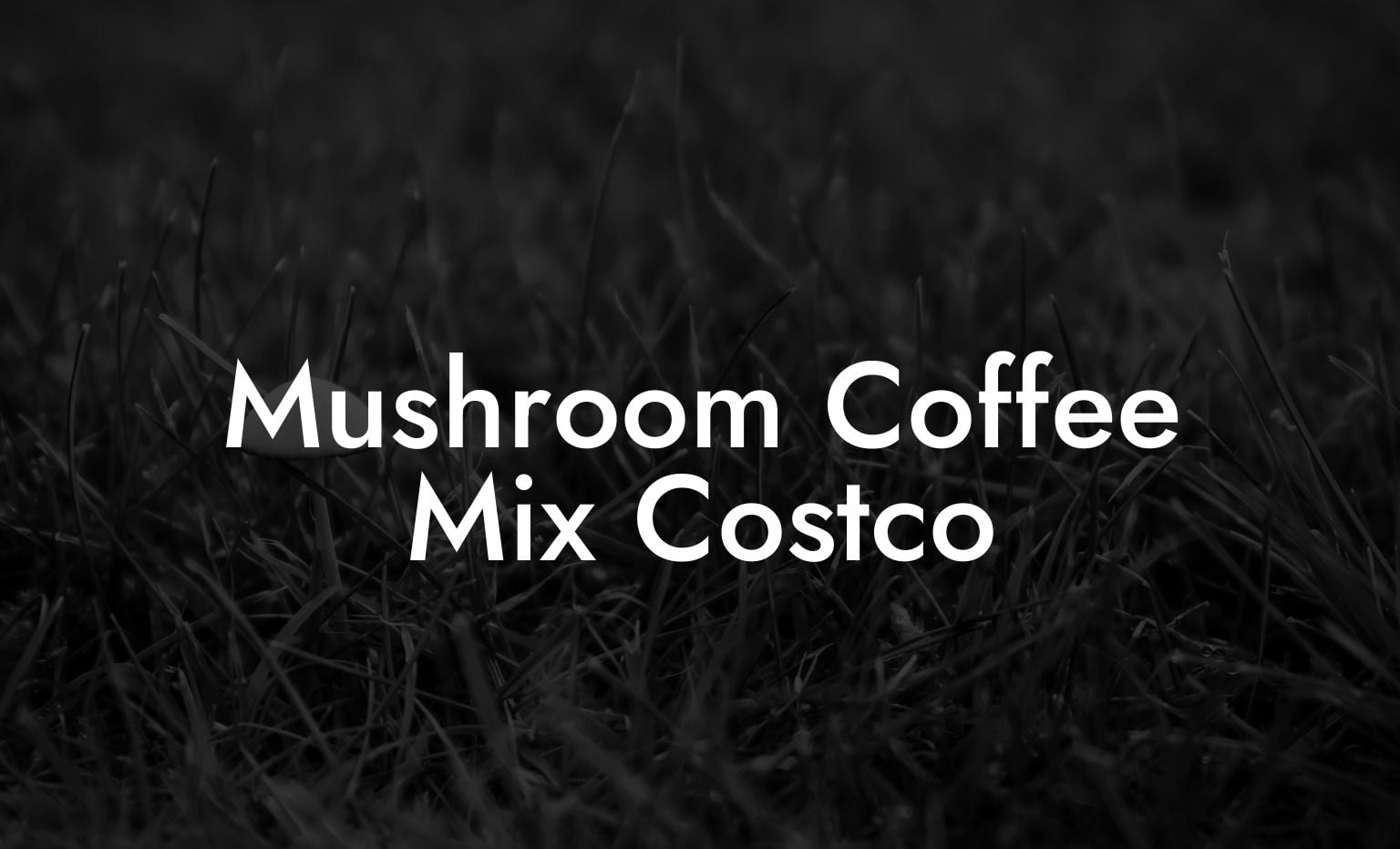 Mushroom Coffee Mix Costco
