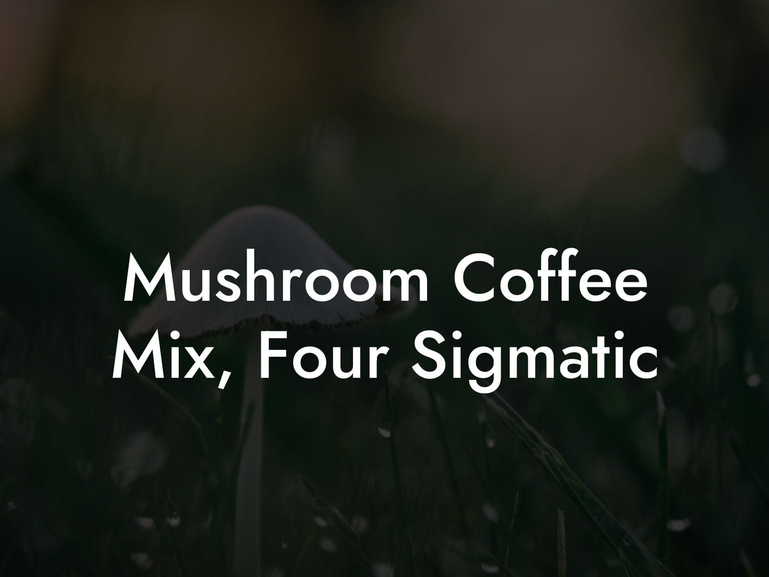 Mushroom Coffee Mix, Four Sigmatic