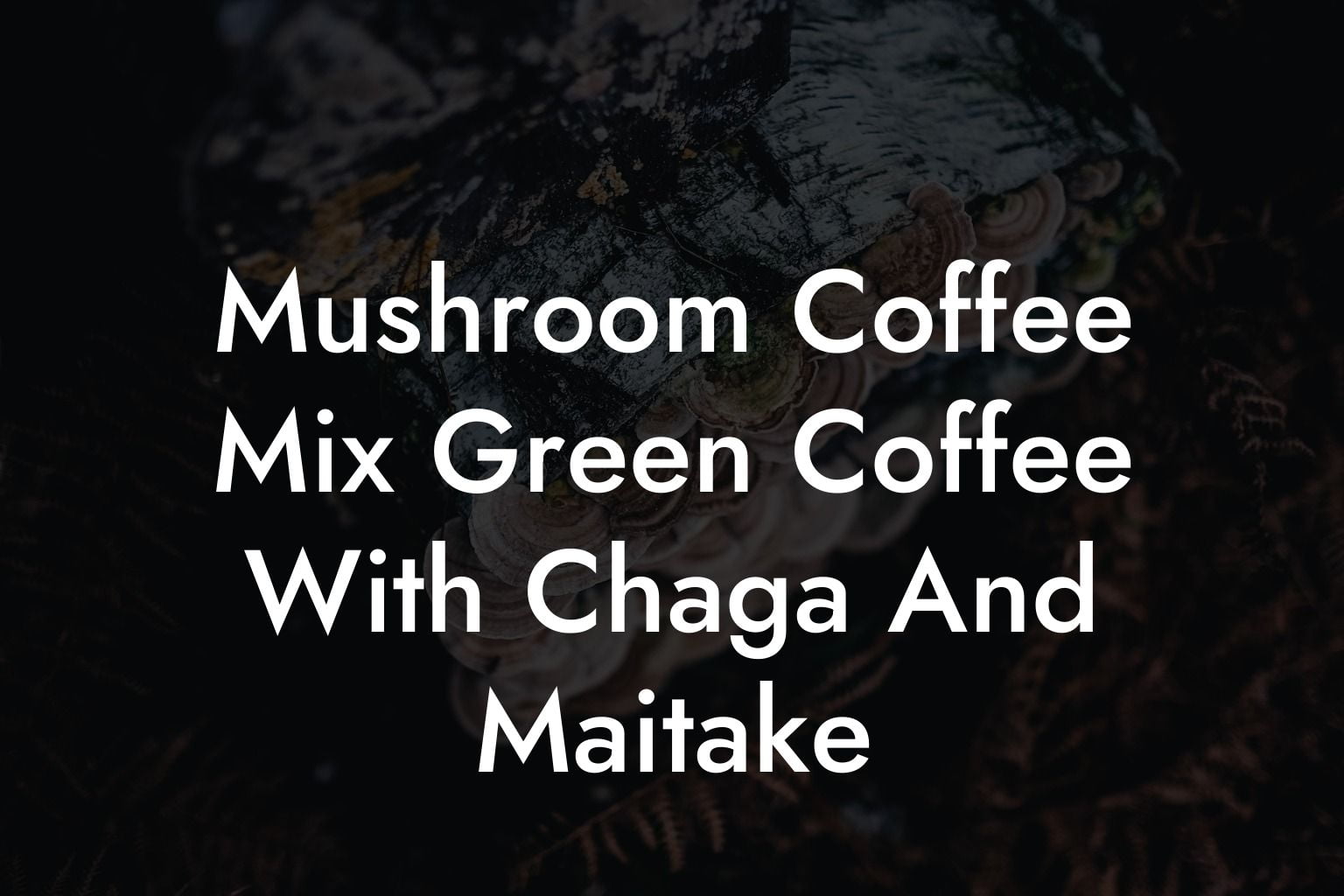 Mushroom Coffee Mix Green Coffee With Chaga And Maitake