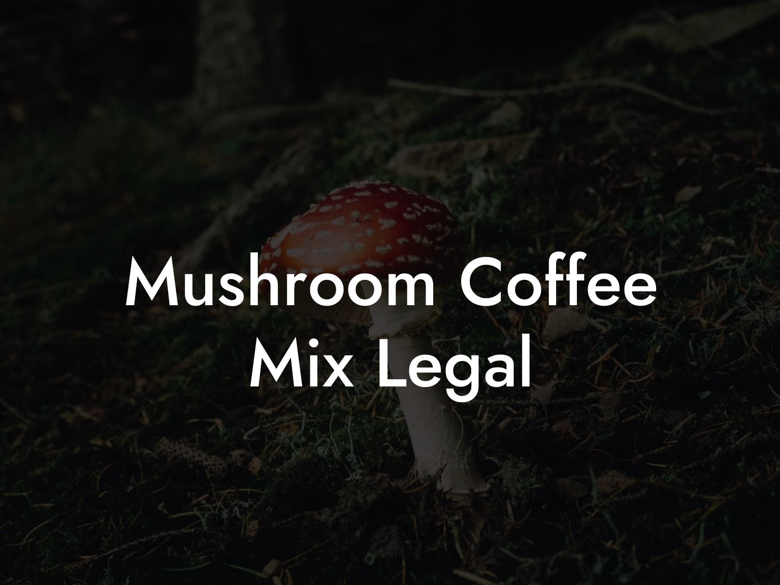 Mushroom Coffee Mix Legal