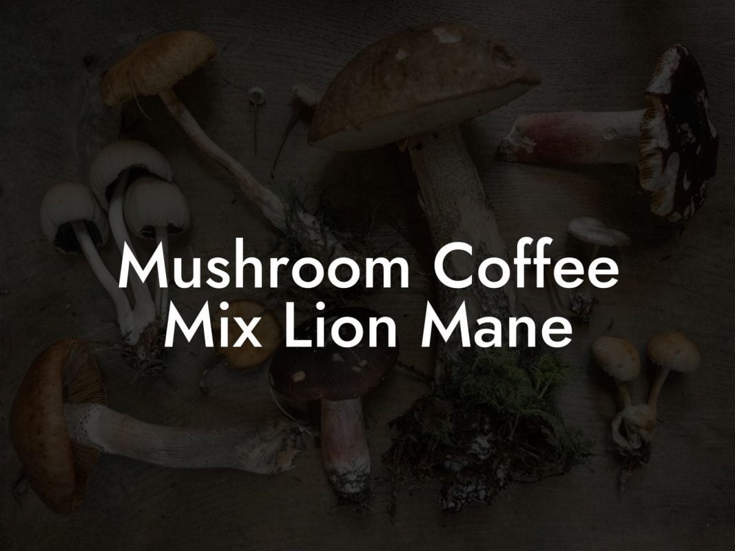 Mushroom Coffee Mix Lion Mane