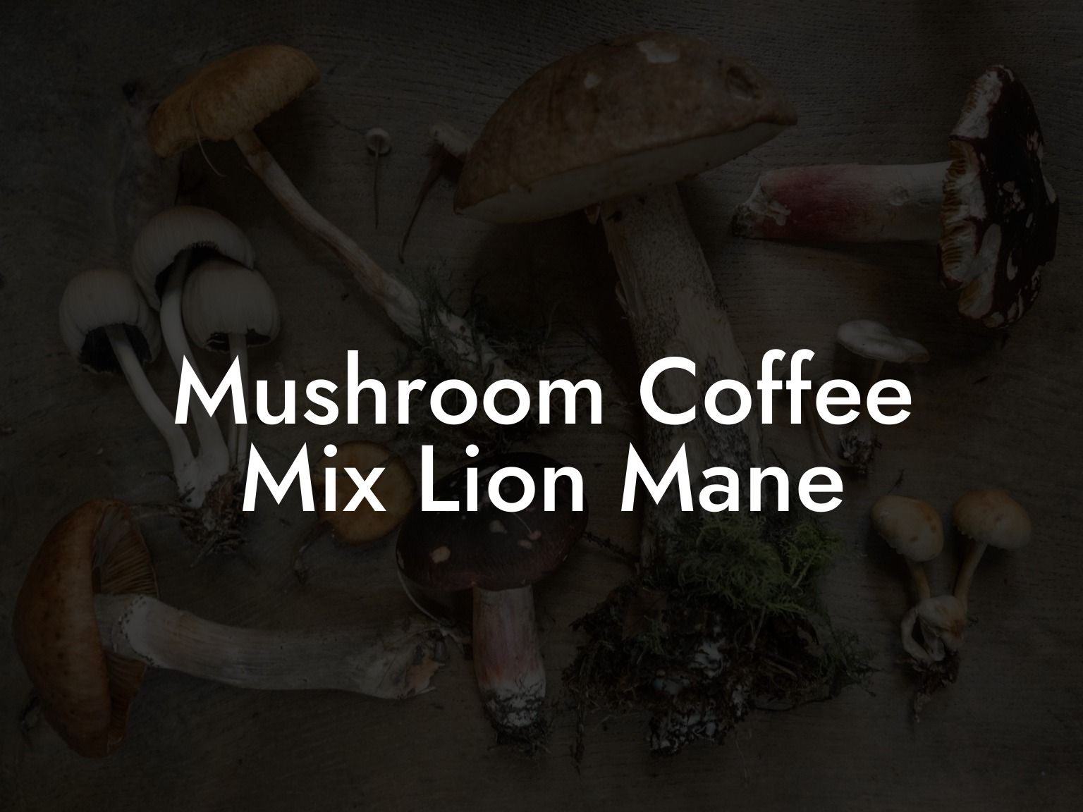 Mushroom Coffee Mix Lion Mane