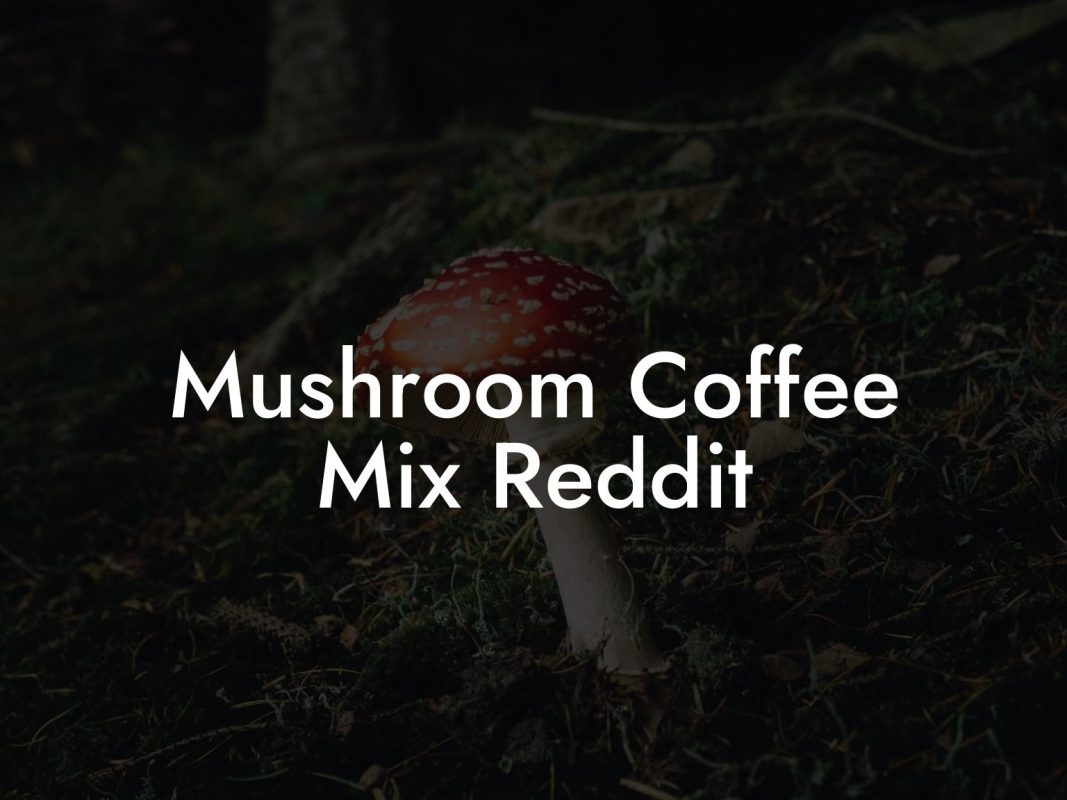 Mushroom Coffee Mix Reddit