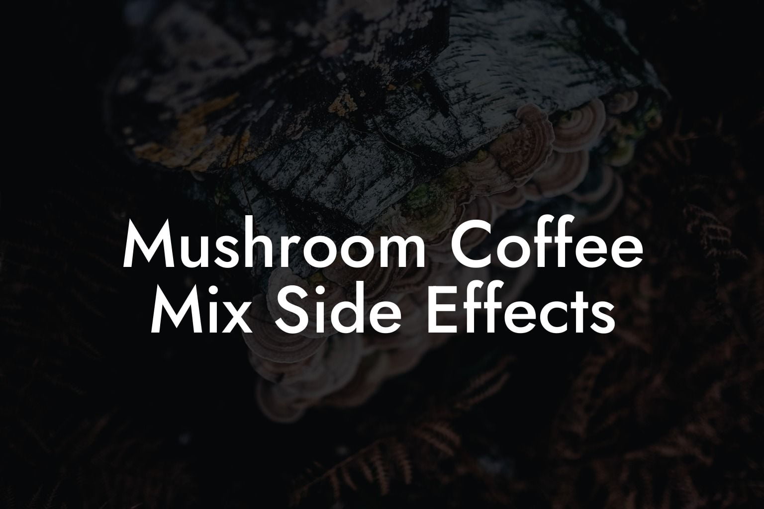 Mushroom Coffee Mix Side Effects