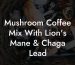 Mushroom Coffee Mix With Lion's Mane & Chaga Lead