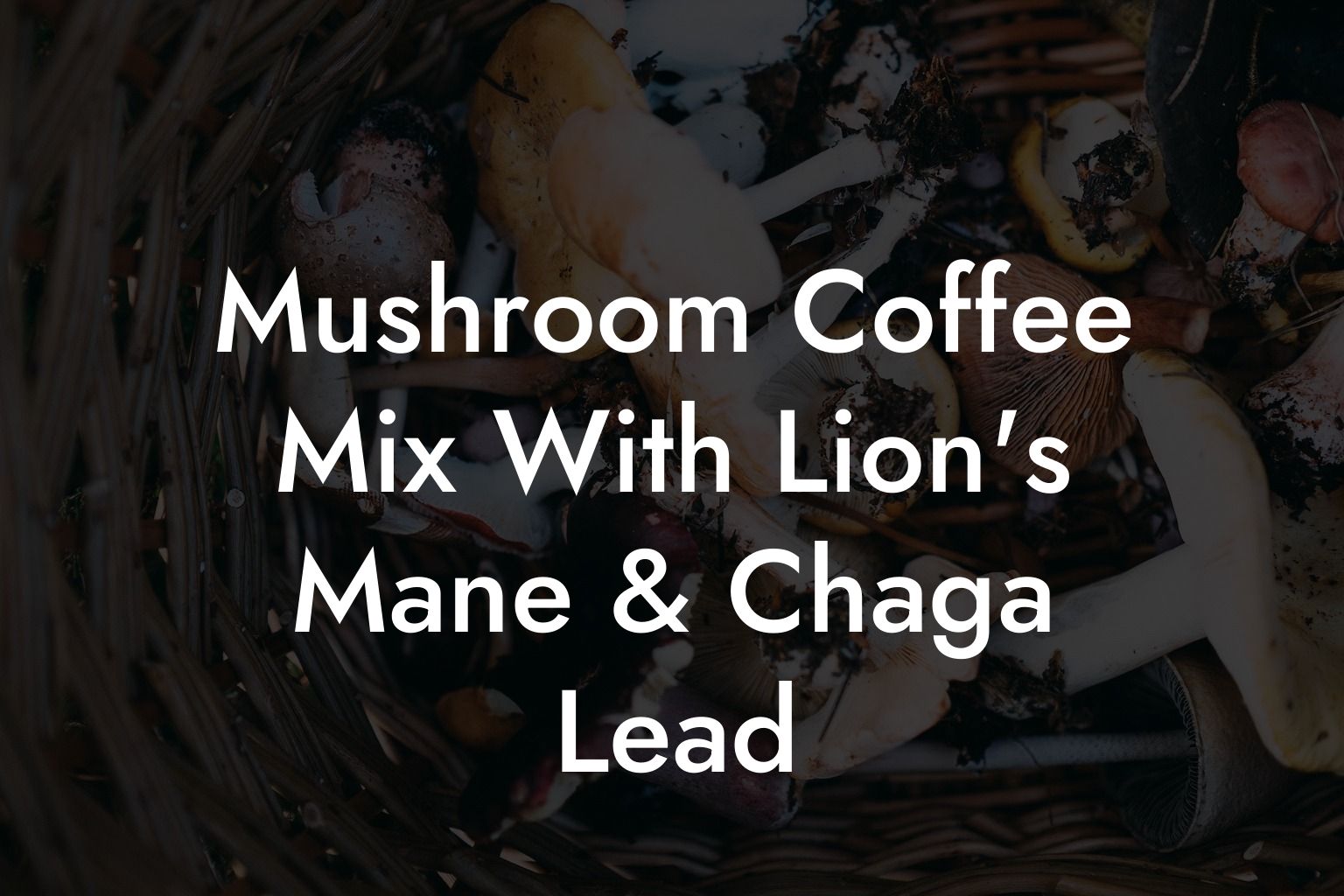 Mushroom Coffee Mix With Lion's Mane & Chaga Lead