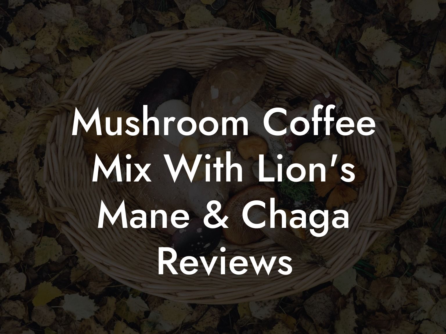 Mushroom Coffee Mix With Lion's Mane & Chaga Reviews