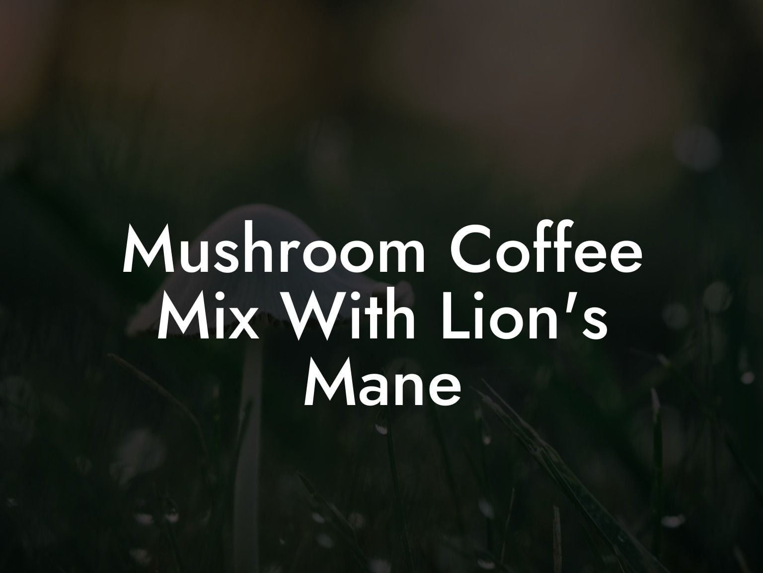 Mushroom Coffee Mix With Lion's Mane