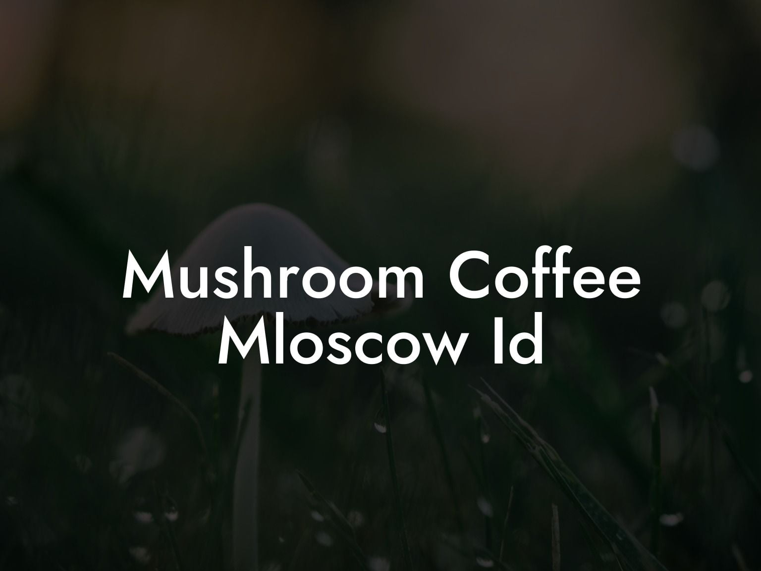 Mushroom Coffee Mloscow Id