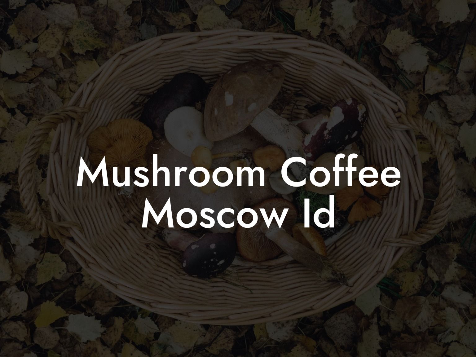 Mushroom Coffee Moscow Id