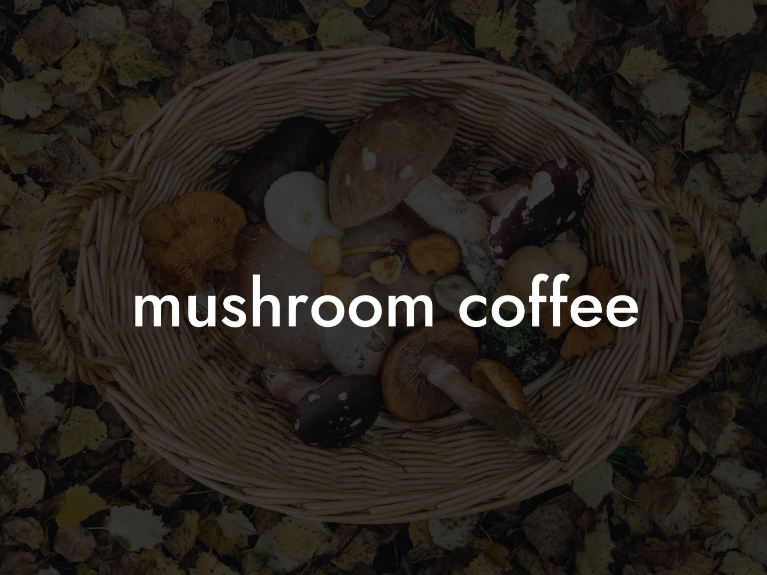 Mushroom Coffee咖啡