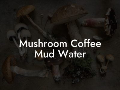 Mushroom Coffee Mud Water - Mr Mushroom