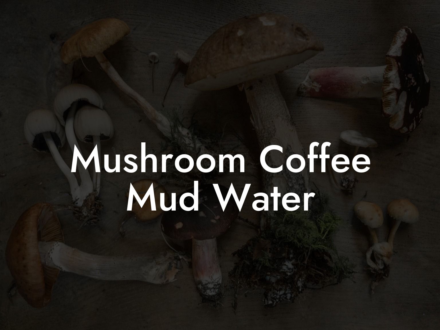 Mushroom Coffee Mud Water