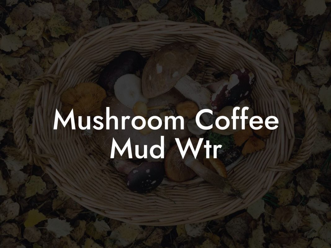 Mushroom Coffee Mud Wtr