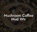Mushroom Coffee Mud Wtr