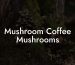 Mushroom Coffee Mushrooms