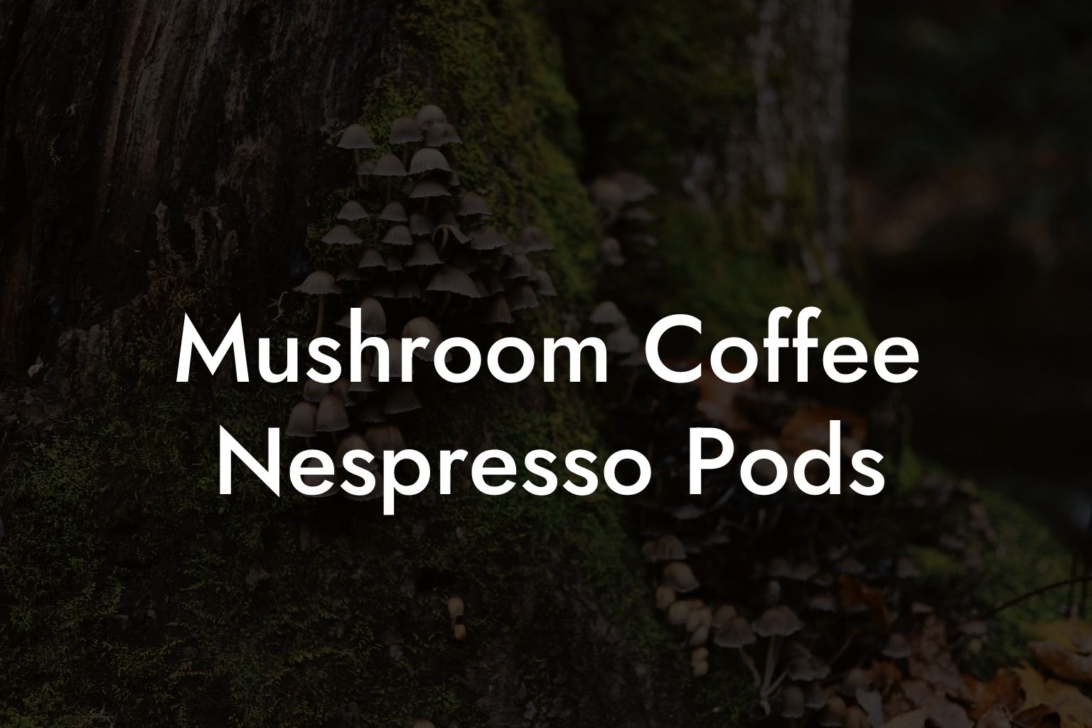 Mushroom Coffee Nespresso Pods