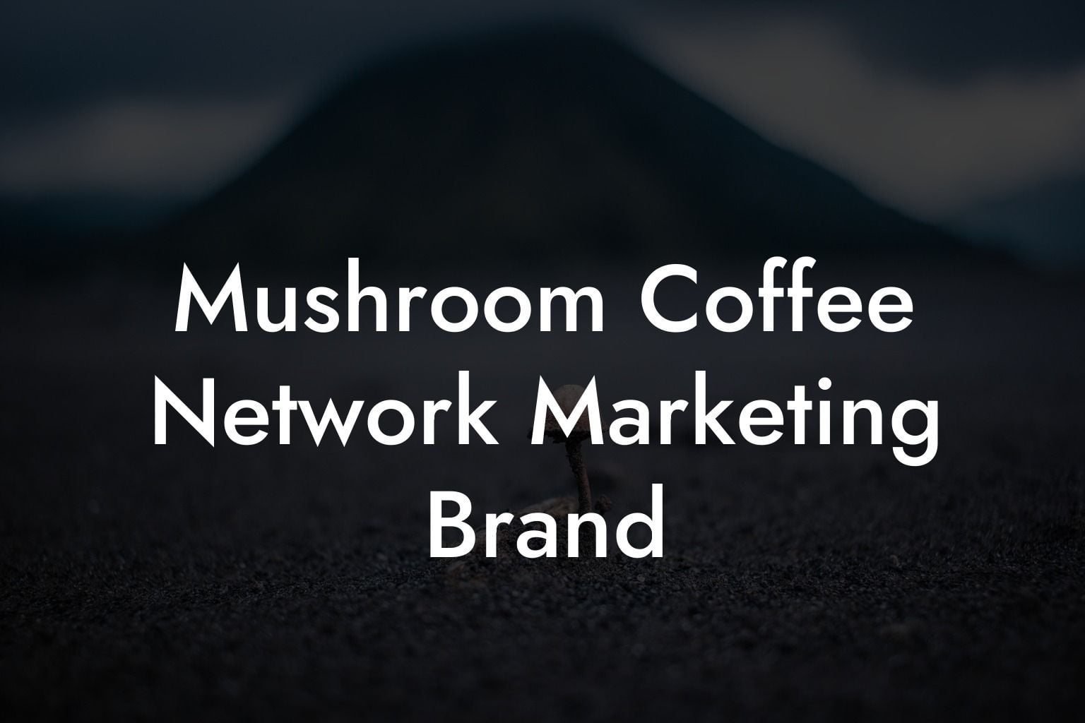 Mushroom Coffee Network Marketing Brand