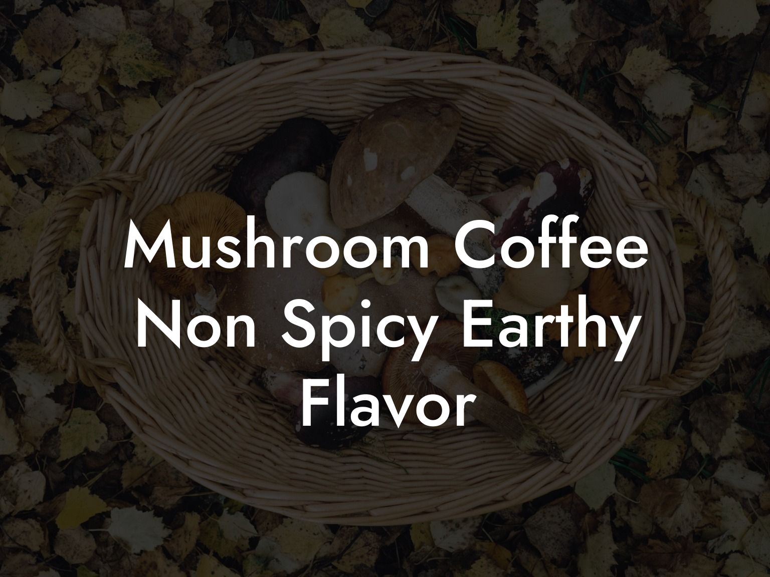 Mushroom Coffee Non Spicy Earthy Flavor