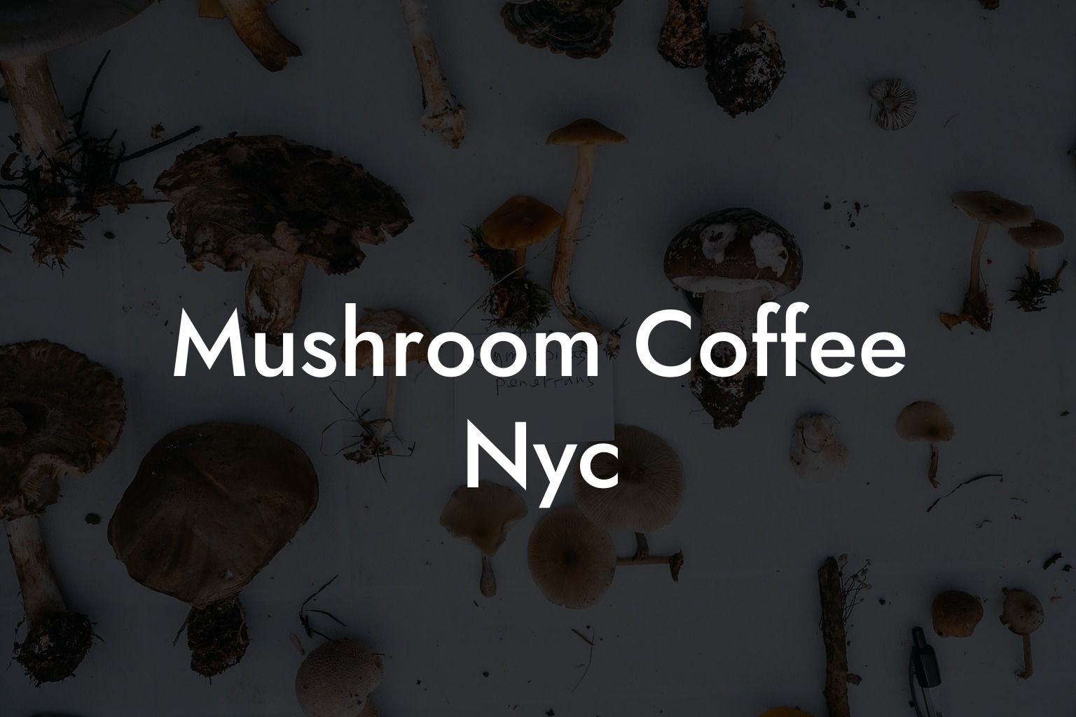 Mushroom Coffee Nyc