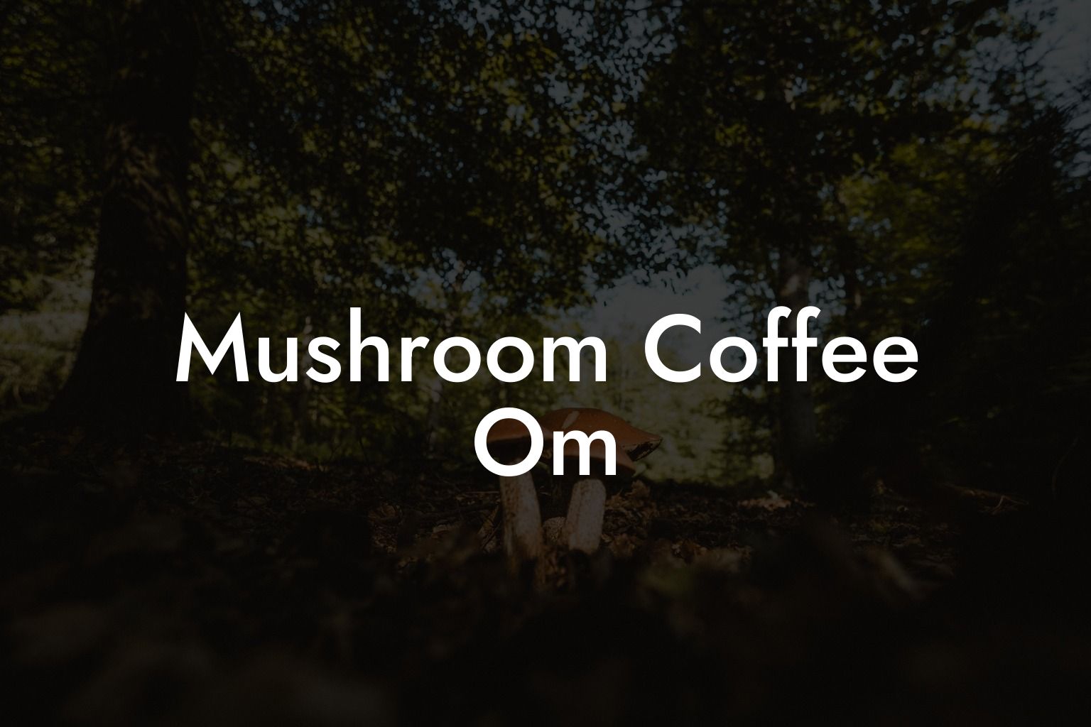Mushroom Coffee Om